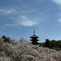 Photo taken at Ninna-ji Temple by Nath-Tong N. on 4/13/2024