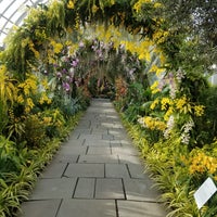 Photo taken at The Orchid Show At New York Botanical Gardens by RDasheenb D. on 3/28/2019