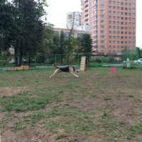 Photo taken at Площадка для собак by karma on 8/31/2014