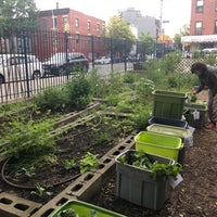 Photo taken at Prospect Heights CSA by Kim P. on 6/13/2019