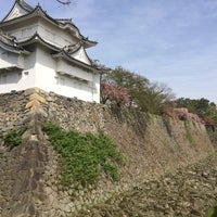 Photo taken at Nagoya Castle by junjuwaaaar on 4/18/2015