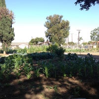 Photo taken at Stephen Whit Middle School Garden by Cesar M. on 5/3/2013