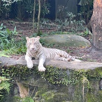 Photo taken at Singapore Zoo by yoshi-huh.0419 on 8/22/2023