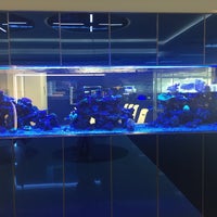 Bloomberg Lp Singapore Office In Central Region