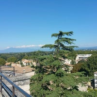 Rocher des Doms - 11 tips from 416 visitors