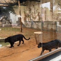 Photo taken at Riyadh Zoo by 👑 on 2/12/2024