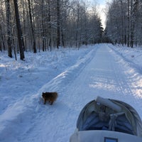 Photo taken at Парк Сосновая Поляна by Анна И. on 1/23/2019