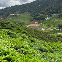 Photo taken at Cameron Bharat Tea Valley by M . on 4/12/2024