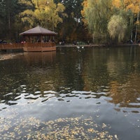 Photo taken at Лебединое озеро by Roman B. on 10/3/2015