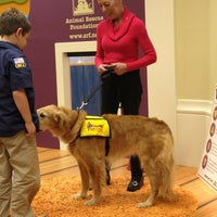 tony la russa's animal rescue foundation