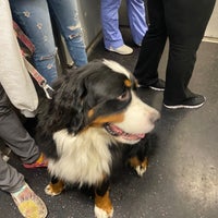 Photo taken at MTA Subway - Bedford Ave (L) by Timothy T. on 11/9/2021