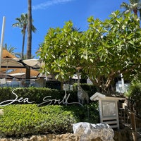 Sea Grill De Puente Romano Mediterranean Restaurant In Marbella sea-grill-de-puente-romano-mediterranean-restaurant-in-marbella