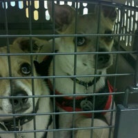Photo taken at N.W. Freeway Animal Clinic by Rudy R. on 11/9/2012