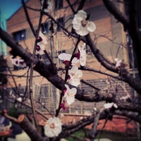 Photo taken at Labulandia by Mario F. on 3/9/2013