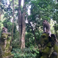 Photo taken at Sacred Monkey Forest Sanctuary by Richi on 6/22/2017