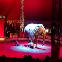 Photo taken at Cirkus Original Berousek by Jana T. on 10/21/2017