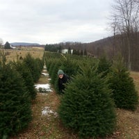 Снимок сделан в Wyckoff&amp;#39;s Christmas Tree Farm пользователем Sean H. 12/13/2014