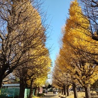 Photo taken at 大師公園 by ikuri on 12/17/2023