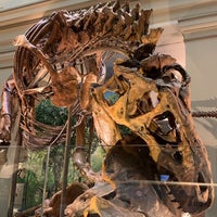 Photo taken at Colossal Head - National Museum of Natural History by VJ 👒 on 8/22/2021