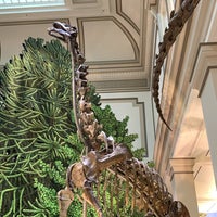 Photo taken at Colossal Head - National Museum of Natural History by VJ 👒 on 8/22/2021