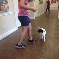 5/27/2014 tarihinde Krystal C.ziyaretçi tarafından Acres Mill Veterinary Clinic'de çekilen fotoğraf