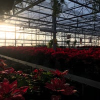 12/29/2020 tarihinde Jenny L.ziyaretçi tarafından Stanley&amp;#39;s Greenhouse'de çekilen fotoğraf
