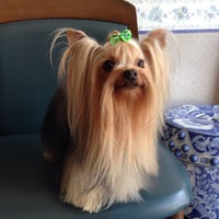 Photo taken at Dogs &amp;amp; Cats Quality Pet Grooming by Sweety H. on 10/31/2013