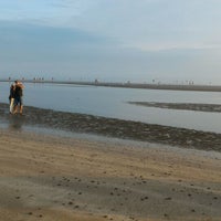 Pantai Cemara Sugihwaras Tuban Jawa Timur