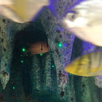 Photo taken at Aqua City Resort Aquarium Blue Hall by 糖尿の ヒ. on 5/4/2017