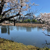 Photo taken at Shinobazu Pond by 糖尿の ヒ. on 4/10/2024