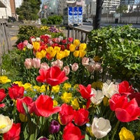 Photo taken at 天現寺橋交差点 by ひびきら 8. on 4/10/2022