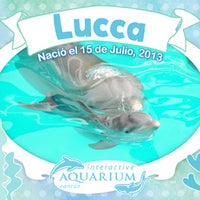 Foto scattata a Aquarium Cancun da Aquarium Cancun il 9/9/2013