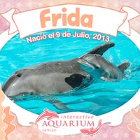 9/9/2013 tarihinde Aquarium Cancunziyaretçi tarafından Aquarium Cancun'de çekilen fotoğraf