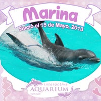 Das Foto wurde bei Aquarium Cancun von Aquarium Cancun am 9/9/2013 aufgenommen