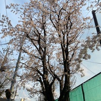 Photo taken at 給田小学校 by リカ プ. on 4/2/2022