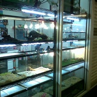Pakuwon Trade Center Ptc Babatan Jl Puncak Indah Lontar Barat