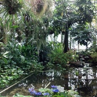 Alter Botanischer Garten Innenstadt 6 Tips