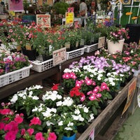 島忠 八潮店 1 Dica De 232 Clientes 島忠 八潮店 1 Dica De 232 Clientes