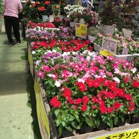 島忠 八潮店 1 Dica De 232 Clientes 島忠 八潮店 1 Dica De 232 Clientes