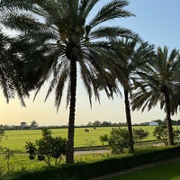 4/26/2024에 Asma 🦋님이 Melia Desert Palm Dubai에서 찍은 사진