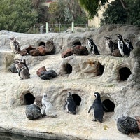 Photo taken at San Francisco Zoo by Ritaltt on 9/27/2023