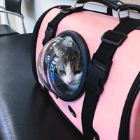 nw veterinary specialists