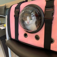 nw veterinary specialists