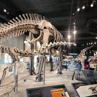 Photo taken at Hall Of Dinosaurs by Aren S. on 6/21/2021