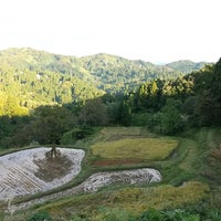 儀明の棚田 十日町市 新潟県 儀明の棚田 十日町市 新潟県