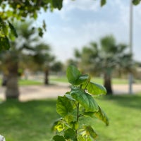 Al Aghsan Garden حديقة الاغصان 62 Visitors