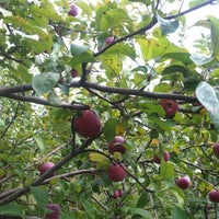 Photo taken at Maiden Rock Winery &amp;amp; Cidery by The Warming House on 10/12/2013