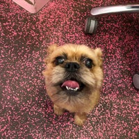 Photo prise au Woof Gang Bakery &amp;amp; Grooming par user481317 u. le10/29/2020