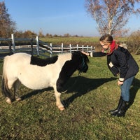 10/14/2018 tarihinde Иреша🔥 Г.ziyaretçi tarafından КСК Western Horse'de çekilen fotoğraf