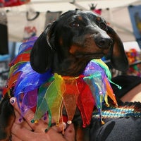 6/27/2014にChicago Pride ParadeがChicago Pride Paradeで撮った写真